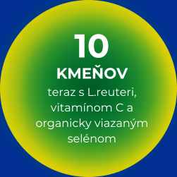 Text odstavce(4)