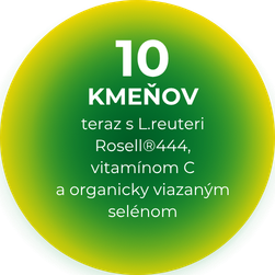 SK web(2)